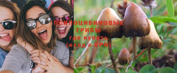 кокс Ладушкин