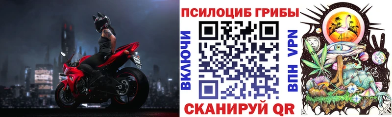 Галлюциногенные грибы Psilocybe  Купить  Княгинино 