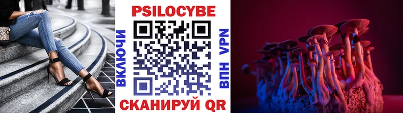 Галлюциногенные грибы мицелий Княгинино